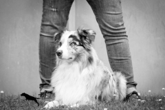 IMG-20170621-WA0012
