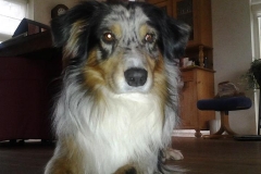 426791_248916685195839_100002325297652_538391_1062913282_n