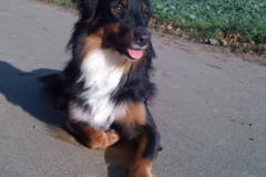 LolaNov11