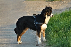 Zoey-April2011