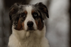 Ashley_01_2013_02