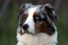 Ashley_Portrait_002
