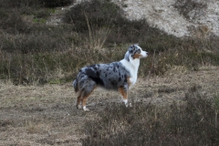 ashley_1213_03