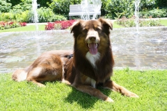 965427_485147394904510_1085513729_o