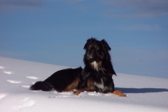 736234_532223766801522_1735365190_o