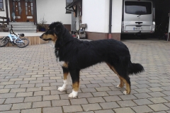IMG_20130228_154405_0