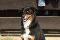 Luke091701