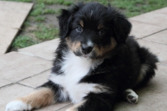 110815_abby1