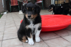 110815_ken2