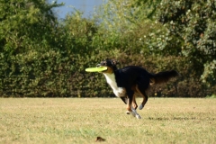 14468446_1118688888215879_7220626895709351673_o