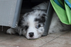 110815_monty2