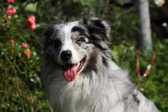 Monty091702