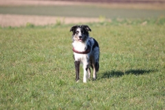 IMG-20161206-WA0006