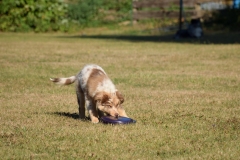 14424921_1118687764882658_1411824864071212733_o