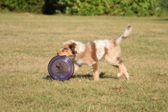 14434974_1118687894882645_686789847392568609_o