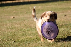 14468601_1118687644882670_1103854278924653834_o