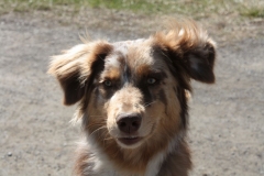 97323FBB-C723-4481-BF93-CD54643E9E21