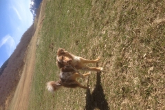 A082D2D0-480E-4463-A5D7-6C085BF9765F