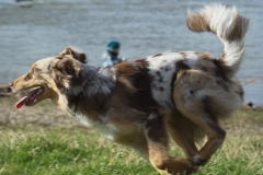 B174B060-2225-488D-B6DF-EAC9FC226BAB