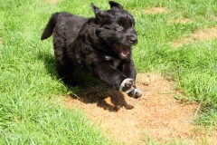 Luke_060801