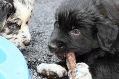 Luke_060803