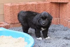 Luke_060804