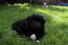 Luke_130801