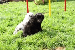 Luke_130803