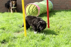 Luke_130804