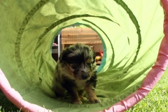 Claire090501