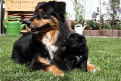 James090502