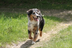 Jully_Urlaub_001