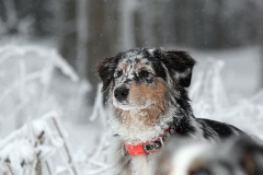 Jully_Urlaub_Winter_001