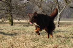 Katniss_01201701