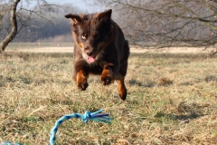 Katniss_01201703