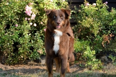 Katniss_0916_2kopie