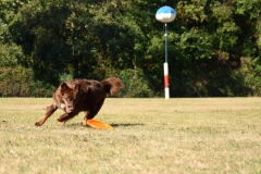 Katniss_0916_5