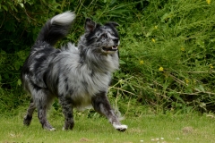 DSC_2885converted_401 copyright x