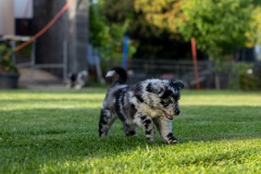 IMG_0188
