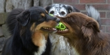 REL_8358_00001_01