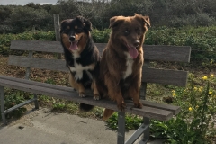 0E484CAD-744A-4D2A-A5FA-0C4F8FF94285