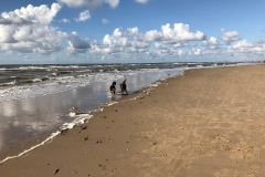 91062851-5F9D-40A3-BF26-C4F9F1CFA053